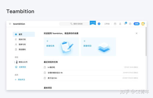 网站建设中如何设计清晰高效的网站导航